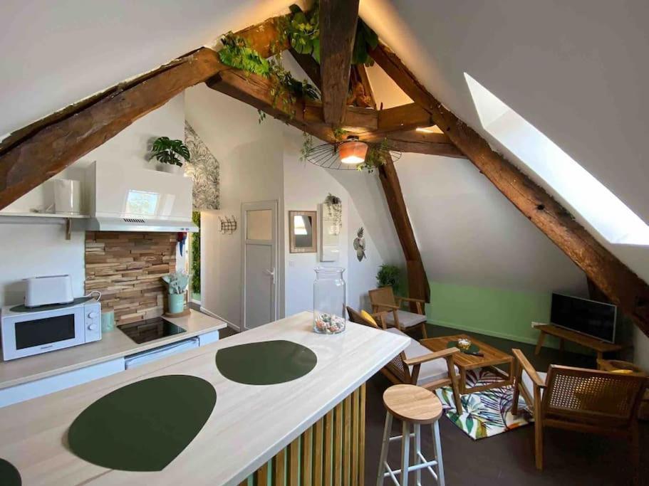 Apartament Sous Les Tropiques D'Ablis Zewnętrze zdjęcie