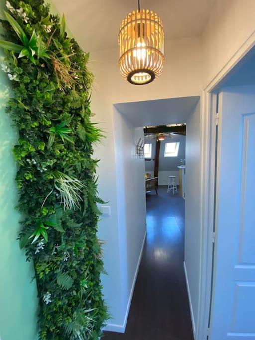 Apartament Sous Les Tropiques D'Ablis Zewnętrze zdjęcie