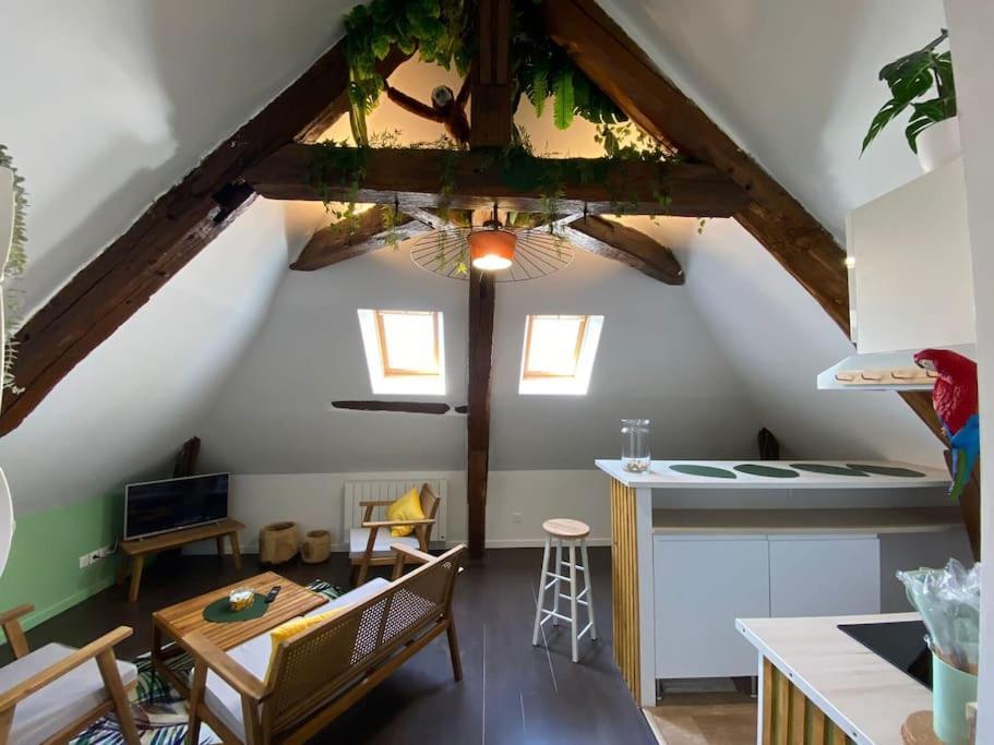 Apartament Sous Les Tropiques D'Ablis Zewnętrze zdjęcie